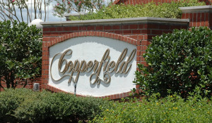 copperfield-bryan